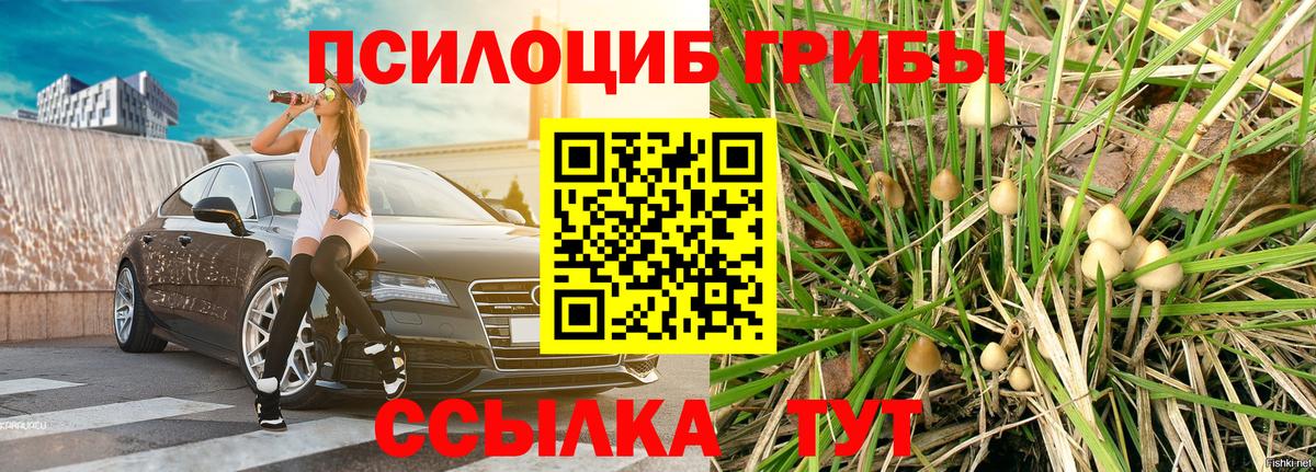 Удомля  Вход с VPN  Каннабис  МЕТАМФЕТАМИН  NBOMe  МЕФ кристаллы  Гашиш  ГАШ  ЭКСТАЗИ 