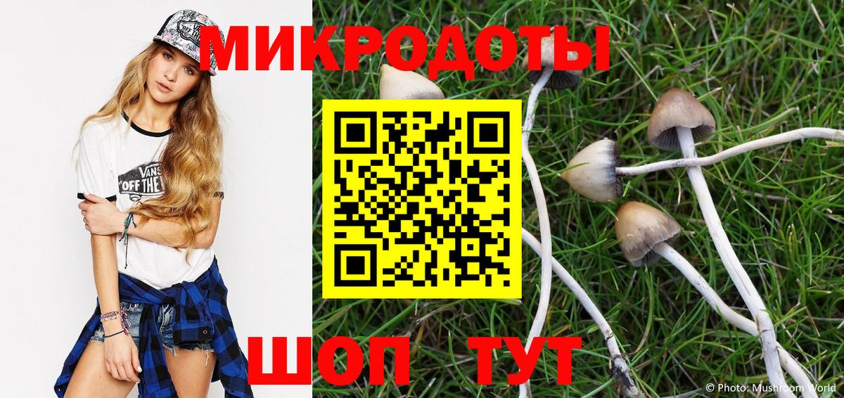 Псилоцибиновые грибы GOLDEN TEACHER Удомля